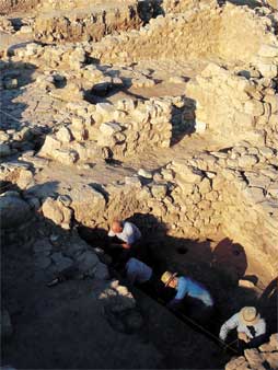 Digging in Umayri