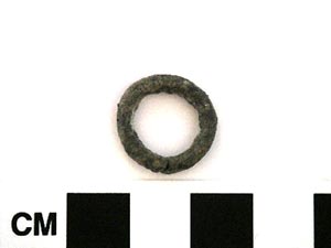Disputed Ring (photo by Douglas Clark)