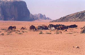 Wadi Rum Bedouin Encampment (photo by Carmen Clark)