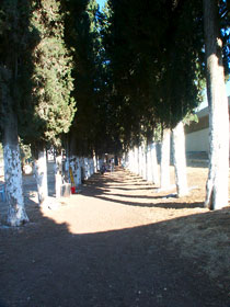 The main tree-lined walkway at ATC which connects the women's and men's sides through a nine-foot-high wall which runs down the middle of the campus