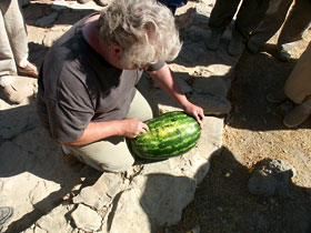 Abimelech being drawn on a watermelon by artist Rhonda Root