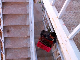 Khaled packing a crate of supplies up the fire-escape stairs to the storeroom (photo courtesy Denise Herr)