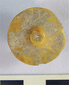 New Spindle Whorl in Field A