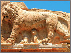 Iraq Al-Amir Lion or Lioness
