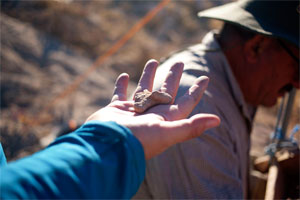 Square Supervisor Jaime Bennett holds a figurine fragment found in the sift by worker Adel. 