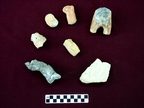 Several figurine fragments, some human, others zoomorphic