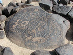 Basalt stone with inscriptions and petraglyphs from the Wadi Rajil in eastern Jordan. (Photo by Nancy Coinman)