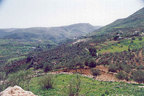 A view of the undulating wadi and hillside patchwork quilt of green fields and orchards on the way to the Jordan Valley west of Salt, Jordan. (Photo by Carmen Clark)